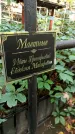 Захоронение ID 1285079