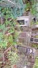 Захоронение ID 1285210