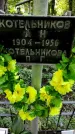 Захоронение ID 1285218