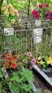 Захоронение ID 1285240