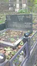 Захоронение ID 1285249