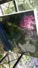Захоронение ID 1285286