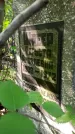 Захоронение ID 1285293