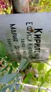 Захоронение ID 1285317