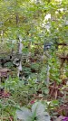 Захоронение ID 1285318
