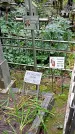 Захоронение ID 1285334