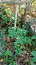 Захоронение ID 1285354