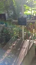Захоронение ID 1285357