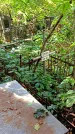 Захоронение ID 1285379
