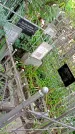 Захоронение ID 1285392