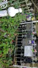 Захоронение ID 1285424