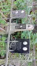 Захоронение ID 1285449