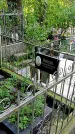 Захоронение ID 1285451