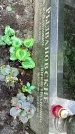 Захоронение ID 1285519