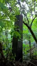 Захоронение ID 1285535