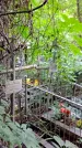 Захоронение ID 1285538
