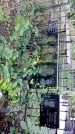 Захоронение ID 1285567