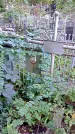 Захоронение ID 1285578