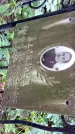 Захоронение ID 1285584