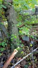 Захоронение ID 1285605