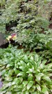Захоронение ID 1285617