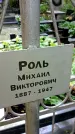 Захоронение ID 1285661