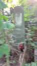 Захоронение ID 1285663