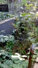 Захоронение ID 1285703