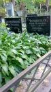 Захоронение ID 1285704