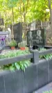 Захоронение ID 1285707