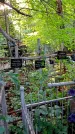 Захоронение ID 1285734