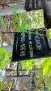 Захоронение ID 1285735