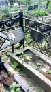 Захоронение ID 1285746
