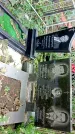 Захоронение ID 1285773