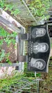 Захоронение ID 1285813