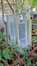 Захоронение ID 1285828