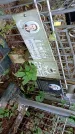 Захоронение ID 1285833