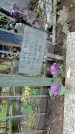 Захоронение ID 1285835