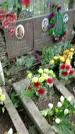 Захоронение ID 1285856