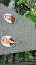 Захоронение ID 1285907