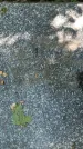 Захоронение ID 1285918