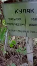 Захоронение ID 1285928