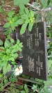 Захоронение ID 1285946