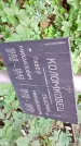 Захоронение ID 1285951