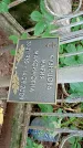 Захоронение ID 1285964