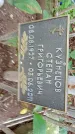 Захоронение ID 1285970