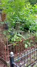 Захоронение ID 1286018