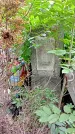 Захоронение ID 1286022