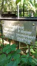 Захоронение ID 1286037
