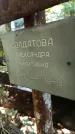 Захоронение ID 1286047